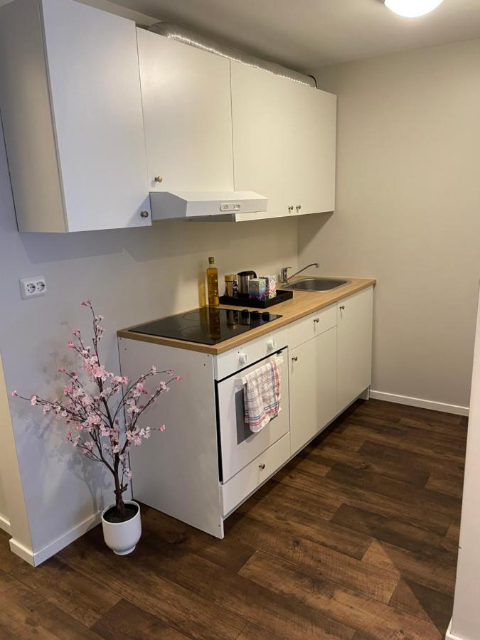 Central Studio Apartment スタヴァンゲル エクステリア 写真