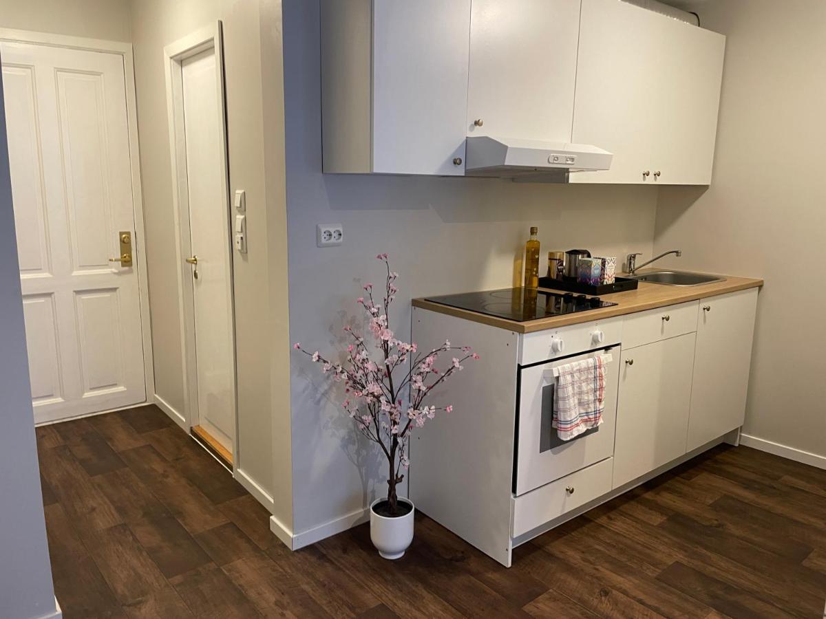 Central Studio Apartment スタヴァンゲル エクステリア 写真